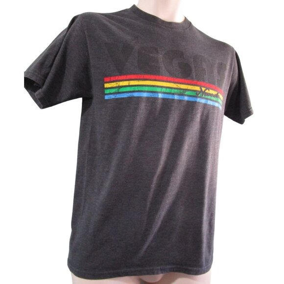 Spectra USA Other - Rainbow Stripe Vintage Vegas Charcoal T Shirt Unisex Small Distressed GUC